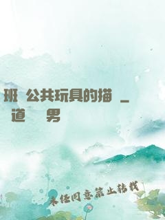 班級公共玩具的描寫